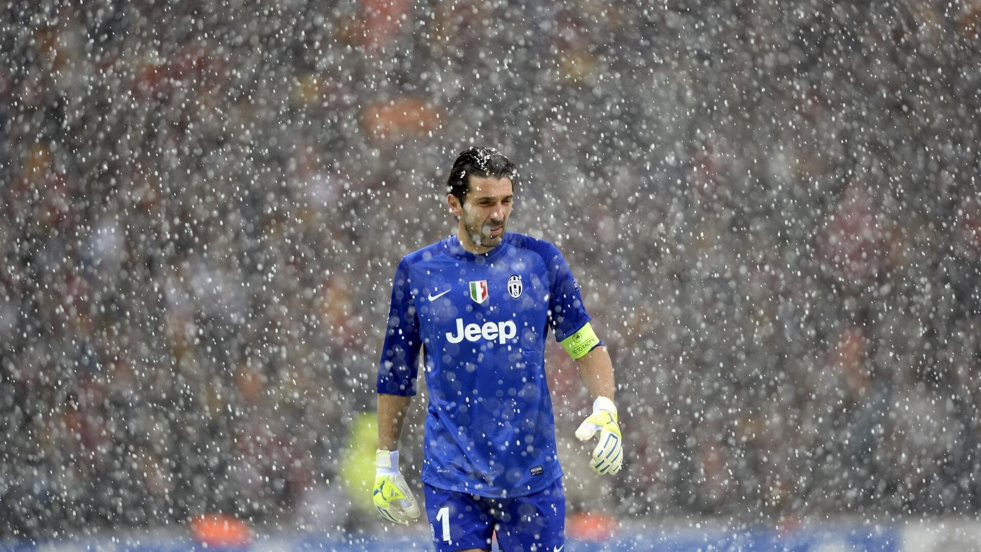 德国女队重回仰泳传统强项，德国女选手